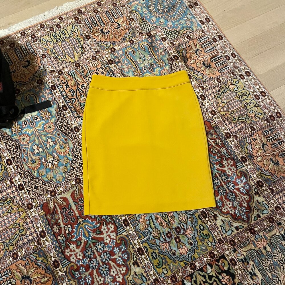 Banana Republic Pencil Skirt
